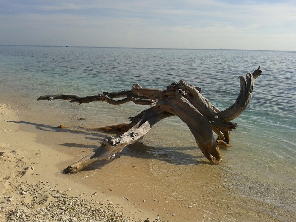 Putri Homestay Gili Meno Exterior photo